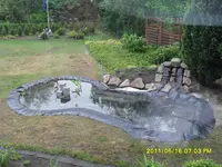 SDC12094.webp