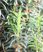 IMG_0657.webp