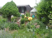 IMG_4809.webp