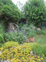 IMG_4808.webp