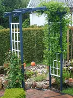 Veilchenblau am neuen Rosenbogen_kleiner.webp