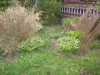 100_3132.webp