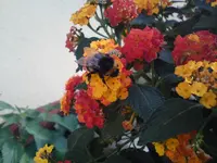 DSC00346.webp