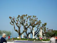 2011 -4-  Gardasee 175-2.webp