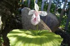 DSC03955.webp