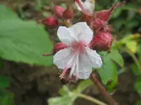 IMG_2556_1067x800.webp