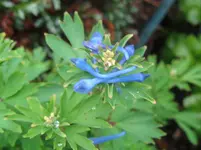 IMG_2561_1067x800.webp