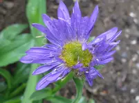 IMG_2562_1067x800.webp