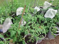BILD5688.webp