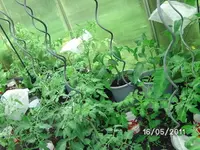 BILD5689.webp