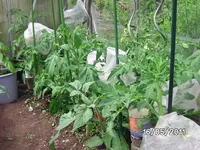 BILD5692.webp