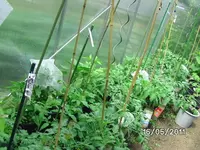 BILD5693.webp