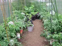 BILD5695.webp