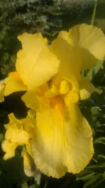 Handyuploard15.1.2011 134.webp