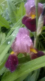 Handyuploard15.1.2011 152.webp