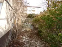 P1030024.webp