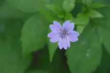 DSC05107.webp