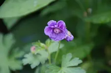 DSC05114.webp