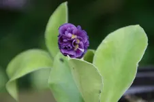 DSC05116.webp