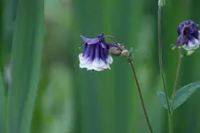 DSC05117.webp