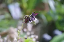 DSC05120.webp