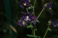DSC05124.webp