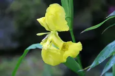 DSC05118.webp