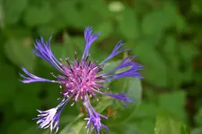 DSC_0255.webp