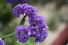 IMG_0797.webp