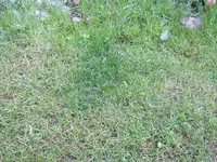 JD803892.webp