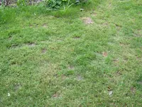 JD803895.webp