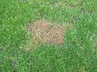 JD803898.webp