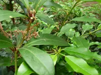 P1020027.webp