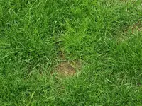 DSCF0666.webp