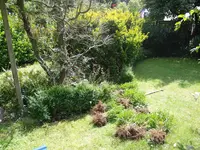 P8145259.webp