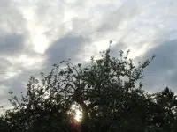 001.webp