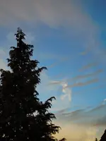 003.webp