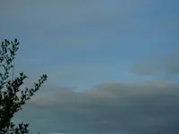 004.webp