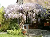 HPIM9967.webp