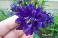 100_2797.webp