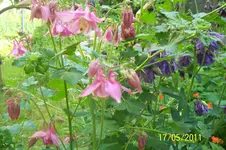100_2802.webp