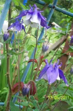 100_2811.webp