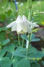 100_2813.webp