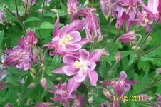 100_2814.webp