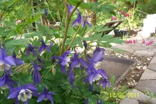 100_2801.webp