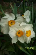 100_2803.webp
