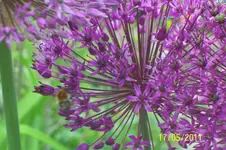100_2807.webp