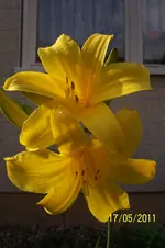 100_2799.webp