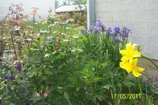 100_2800.webp