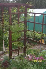 100_2815.webp